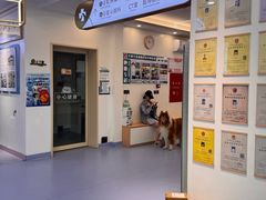 -全心全意动物诊疗中心医院(北苑店)