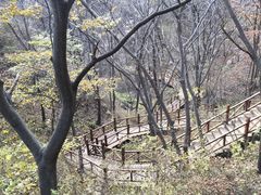 -大岭沟猕猴桃谷风景区