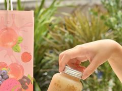 -野萃山·潮汕厚果汁(十亩地店)
