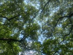 -人民公园-相亲角