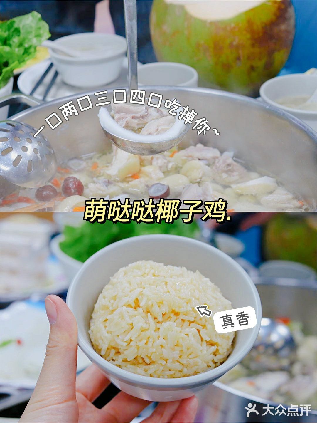 三亚旅游攻略✨亚龙湾森林公园🌲的专场篇