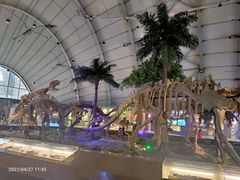 -辽宁古生物博物馆