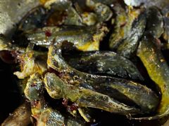 -金海椒罐罐鲢鱼(东方桂苑店)