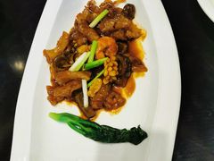 海鲜烧蹄筋-蓝港海鲜厨房(金水路店)