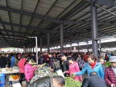 -树木岭集贸市场(劳动东路)