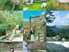 -龙岩森林水乡景区