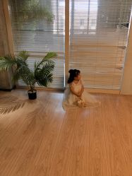 -KIDSMEMO拾光纪儿童摄影(金丰大厦店)