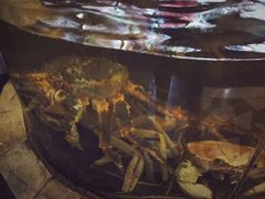 -蟹之国·精品蟹料理(极地店)