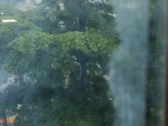 -鹏城八珍深圳特产手信(罗湖店)