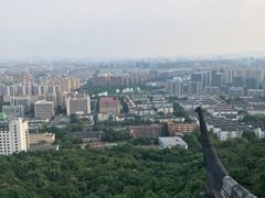 -杭州半山国家森林公园