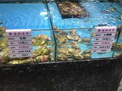 -宝燕海鲜(好爱店)