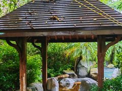 -水底山庄园温泉