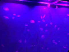 -重庆欢乐海底世界