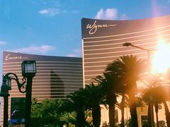 -拉斯维加斯永利酒店