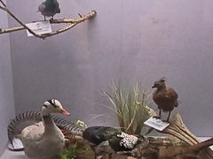 -长江文明馆