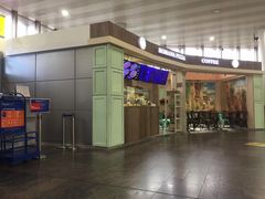 -谢列梅捷沃国际机场