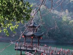 -江西阳明山国家森林公园