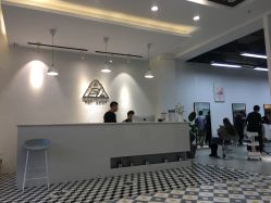 -ASA HAIR SALON