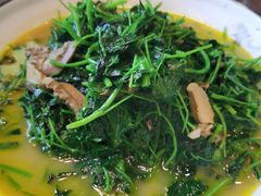 金花菜-呼吸森林·生态农庄农家乐私房菜