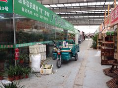 -龙大花卉苗木市场