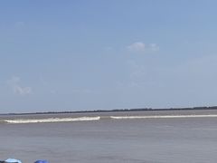 -观潮胜地公园