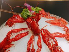 -京悦南门涮羊肉·羊蝎子火锅(田林路店)