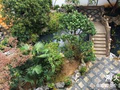-苏州吴宫泛太平洋酒店