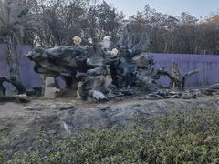 -杭州野生动物世界