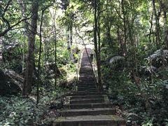 -七仙岭温泉国家森林公园
