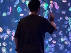 -海合安成都极地海洋公园