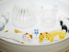 -猫里有甜