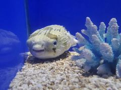 -悦海楼(三衢路店)