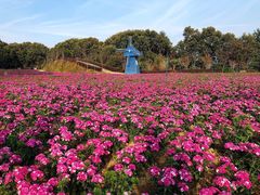 -广州市流溪河国家森林公园