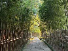 -新荣记(西溪湿地店)