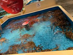 水产区-日进一片海.生腌海鲜火锅.宵夜烧烤(三里屯总店)