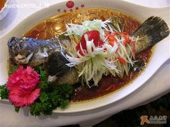 生猛的结果-万宝海鲜舫(劳动公园店)