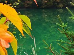 -叠溪松坪沟景区