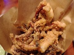 炸鱿鱼须-火鬼 PYRO(五道口店)