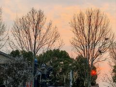 -花博汇(知音花月夜)