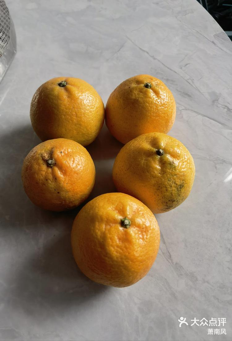 温州又甜有苦的瓯柑