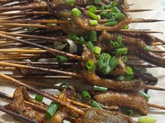 鳝鱼-晓靖轩烧烤(沙河风情店)