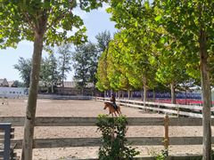 -北京群众马术培训基地