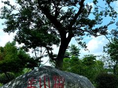 -羊山湖公园