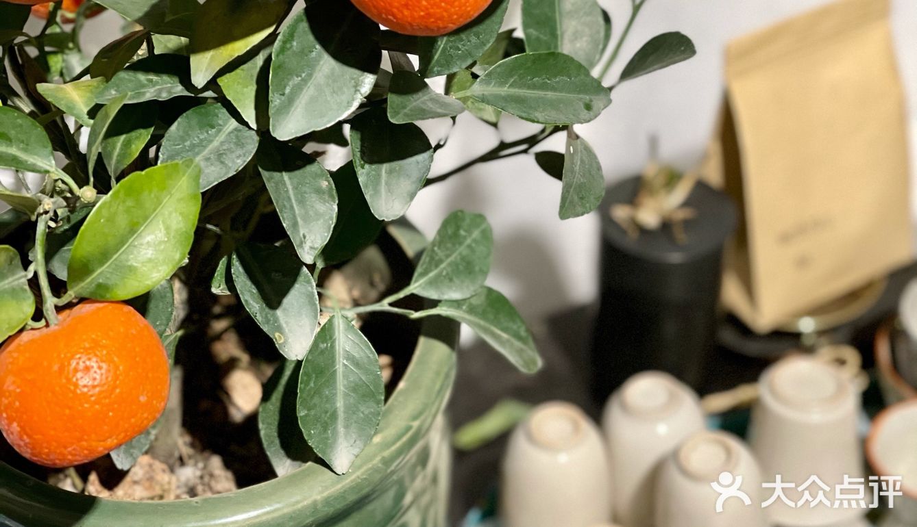 郑州居民楼这家陶瓷美学工作室太美了，9图根本放不下