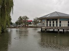 -平望服务区·停车场