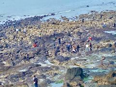 -漳州滨海火山岛自然生态风景区