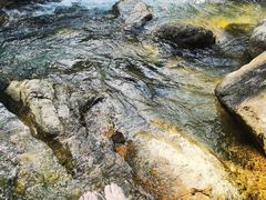 -广州白江湖森林公园