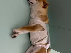 -怪兽屋·羊驼·猫咖·狗咖(俊华广场店)