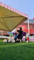 -萌宠亲子动物乐园(槐房万达店)