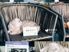 -星巴克(珠海仁恒滨海中心店)